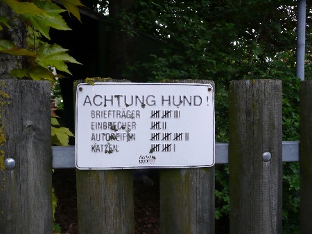 Achtung Hund_web